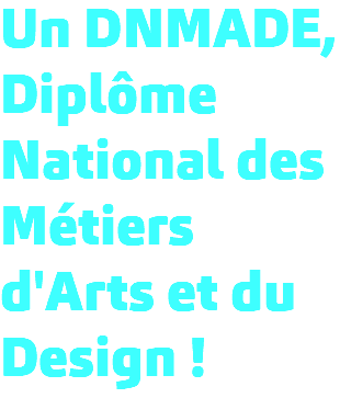 Un DNMADE, Diplôme National des Métiers d'Arts et du Design !